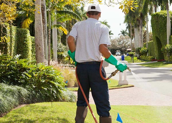 About Pretty Prairie KS Pest Control